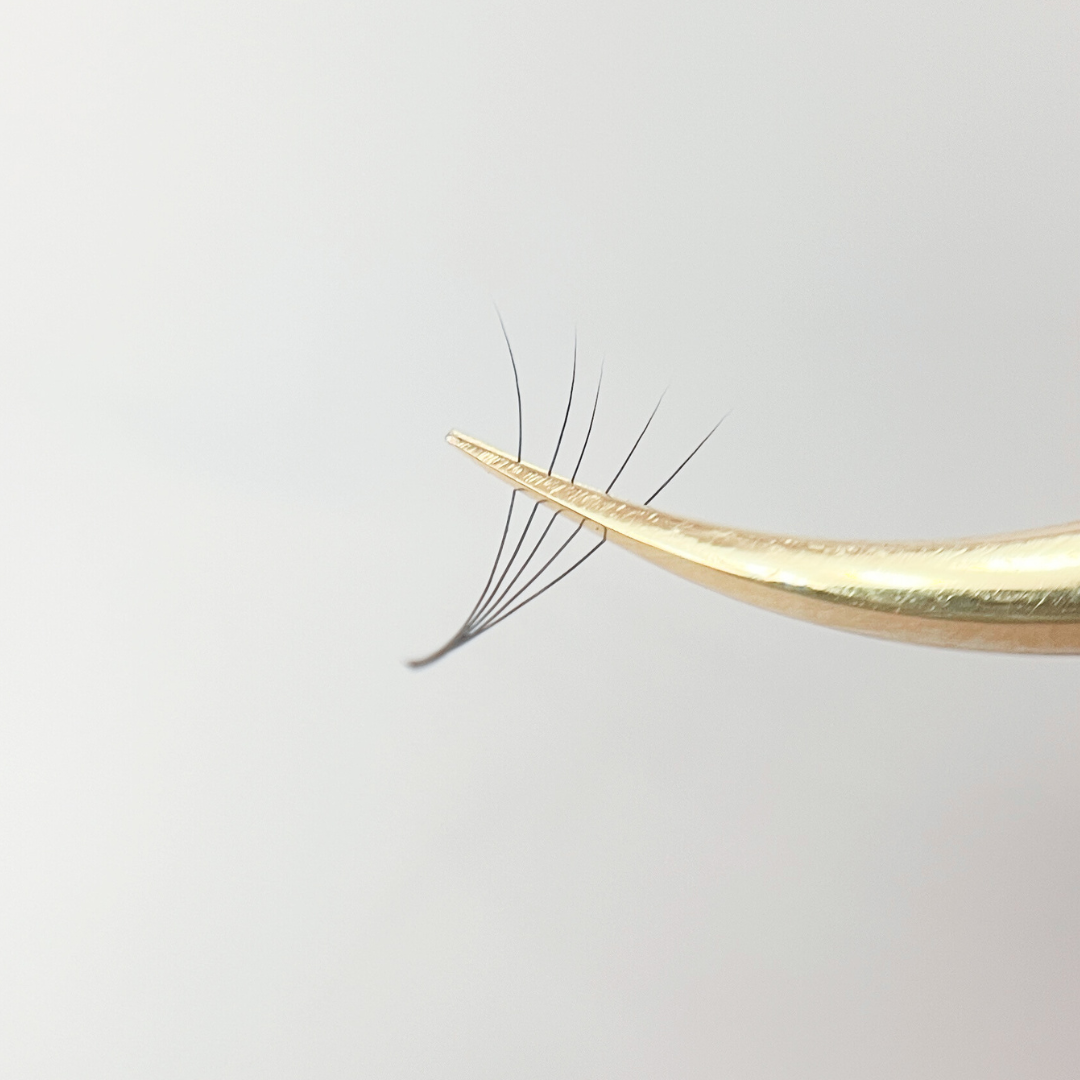 Prefanned Volumen Lashes Prefanned Volumen Lashes