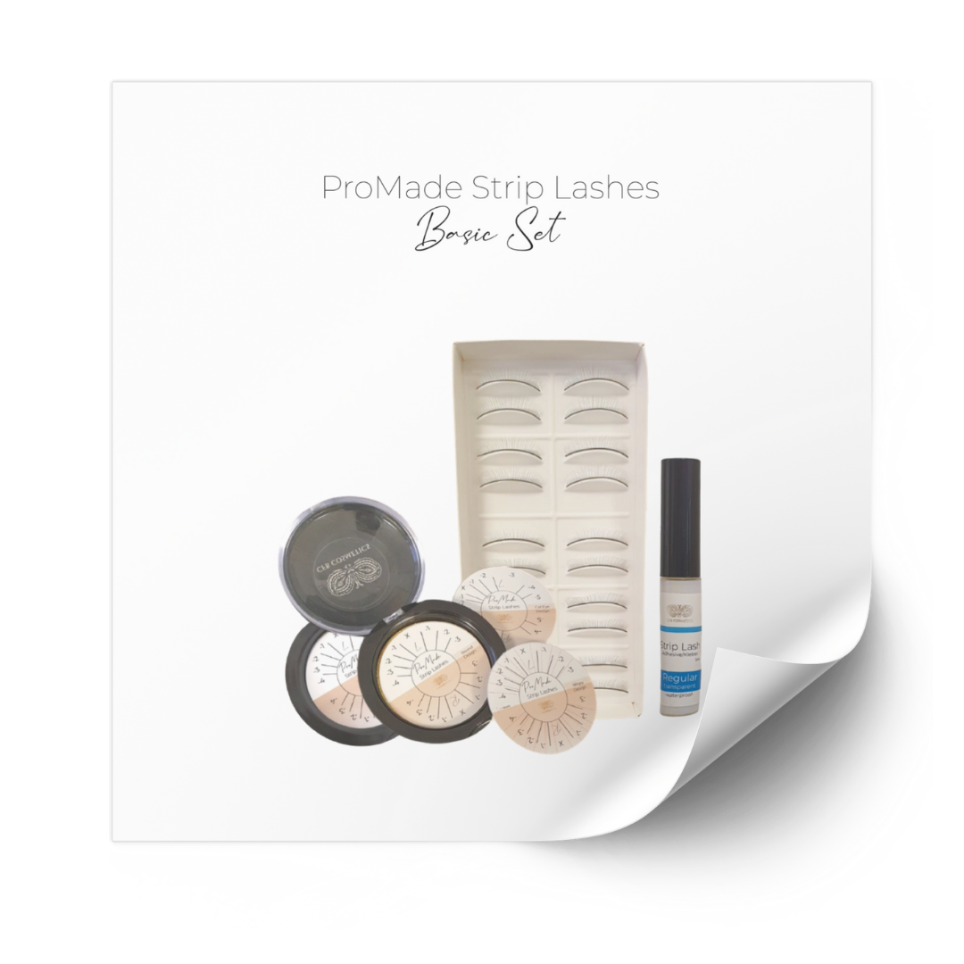 Pro Made Strip Lashes Online Schulung mit Set Pro Made Strip Lashes Online Schulung mit Set