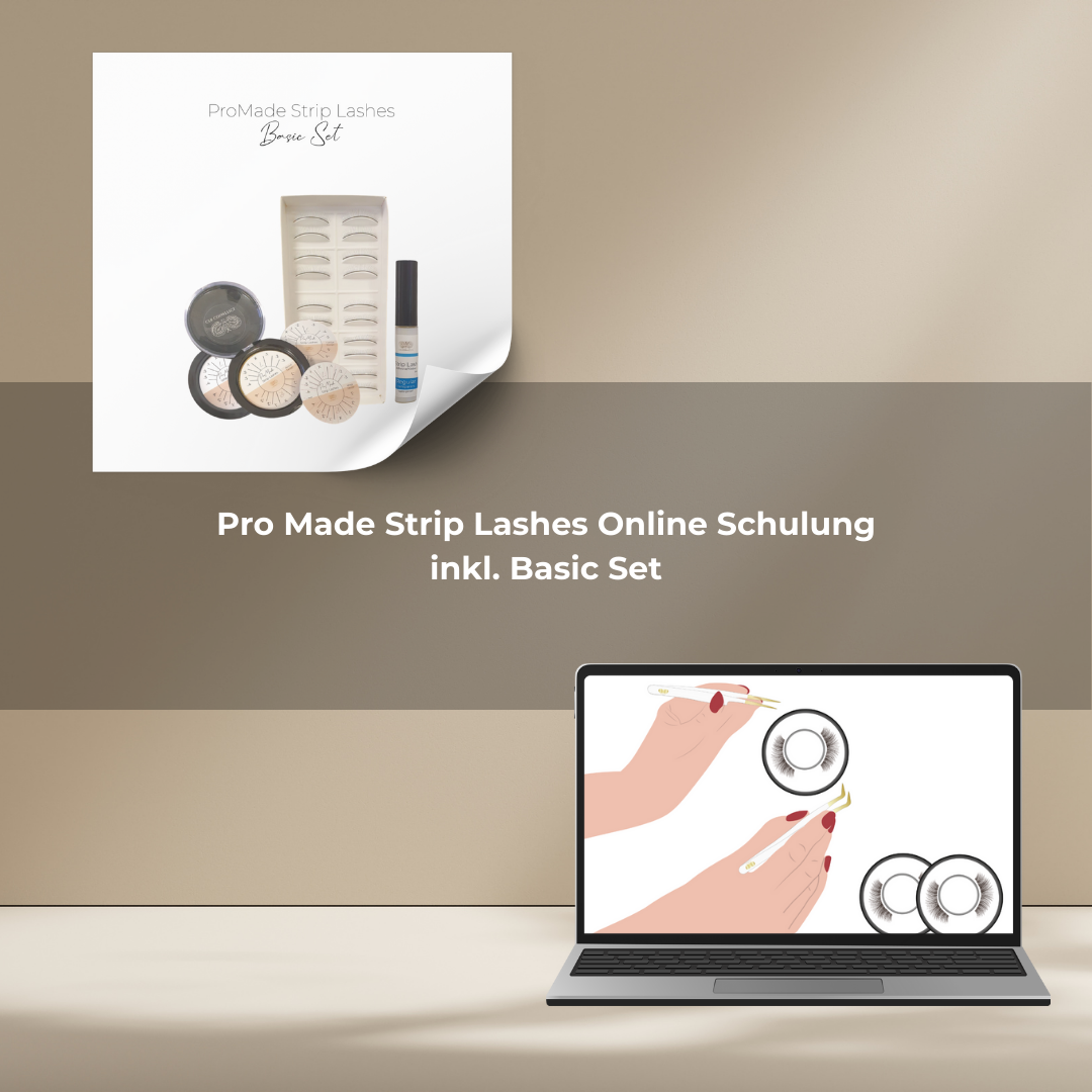 Pro Made Strip Lashes Online Schulung mit Set